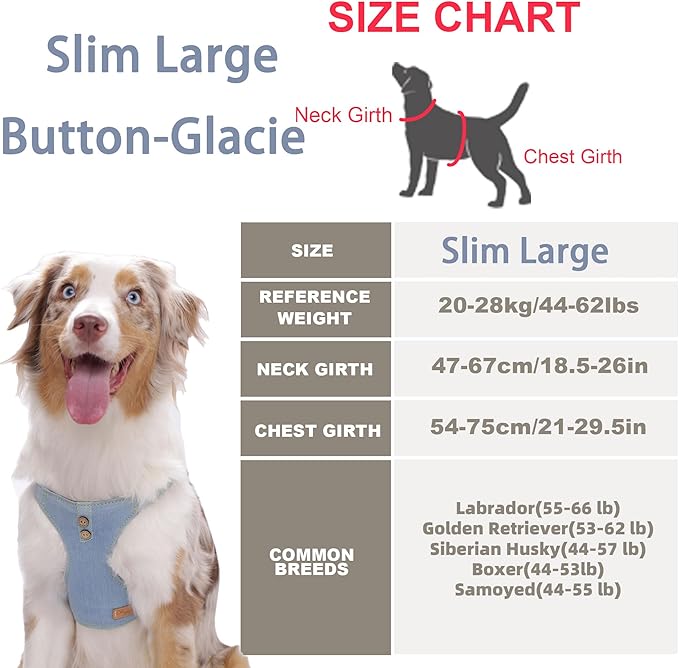 Dog Harness, No Pull Dogs Harness and Multi-Function Leash Set for Medium Dogs Easy Walk Everyday Adjustable Soft Dog Vest Harness Fashionable Dog Accessories Glacier Blue Button-Slim Large