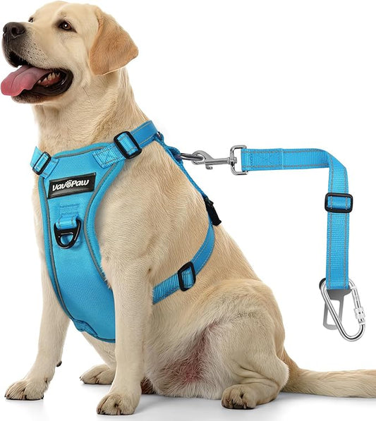 Dog Seat Belt Harness for Car, Dog Car Harness Adjustable Mesh Breathable & Dogs Seatbelt Safety Tether with Elastic Bungee for Small Medium Large Pets(Blue, XL)