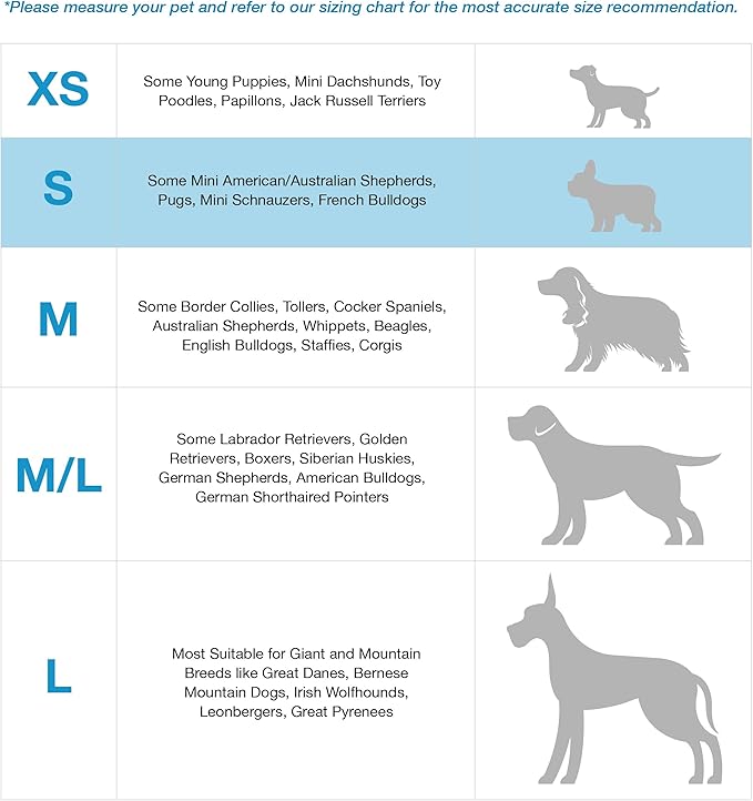 Blue-9 Balance Harness Buckle Neck, Small, Purple