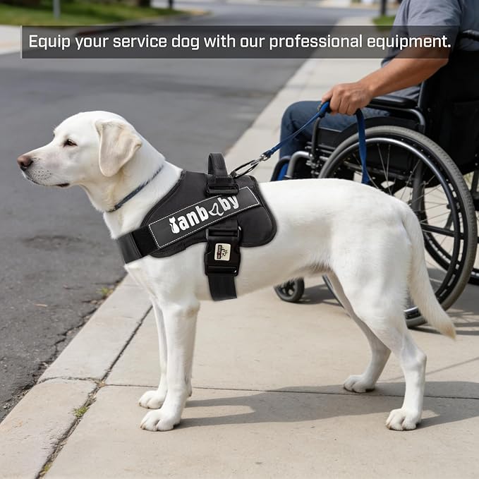 Dog Harness, Dog Harness Medium Sized Dog No Pull with 3 Leash Clips, Easy Control No Throat Reflective Pet Vest Suitable for Training, Traveling and Walking, Black, L