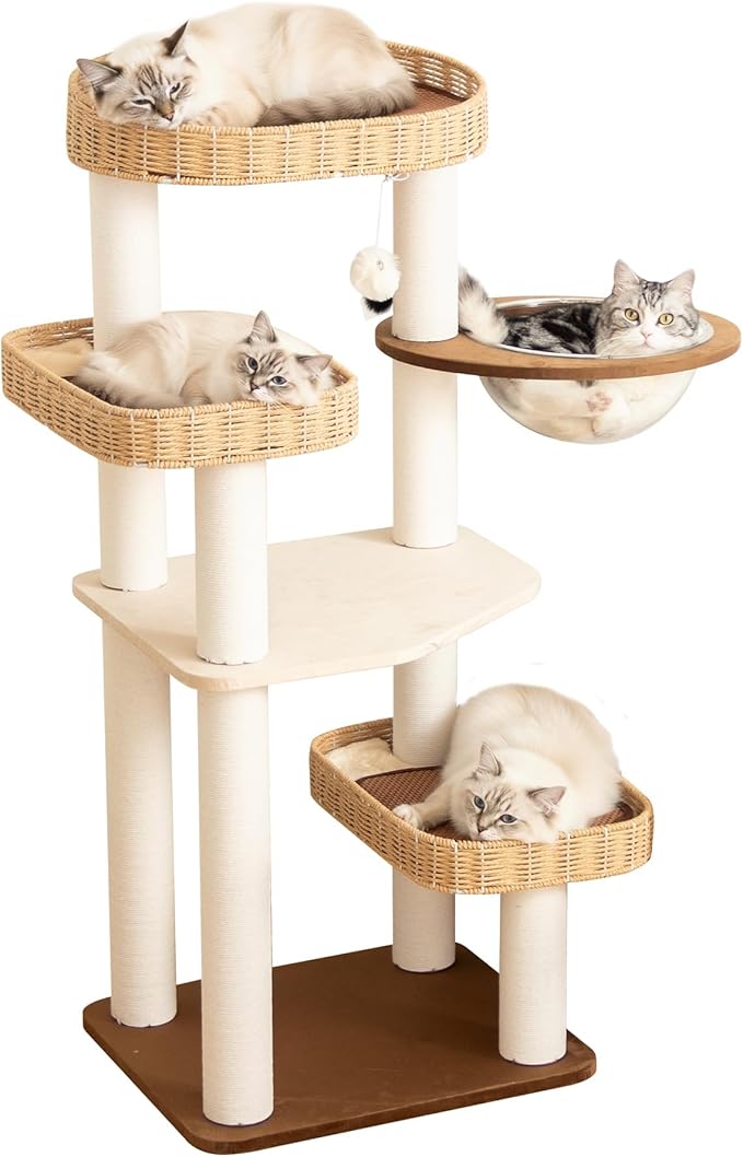 48'' Natural Wood Cat Tree with Rattan Beds & Clear Acrylic Bowl, Multi-Level Cat Tower for Indoor Cats, Modern Wooden Cat Condo with Scratch Posts (Dark Brown)