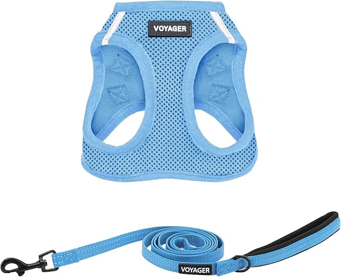 Voyager Step-in Air All Weather Mesh Harness and Reflective Dog 5 ft Leash Combo with Neoprene Handle, for Small, Medium and Large Breed Puppies by Best Pet Supplies - Set (Baby Blue), S