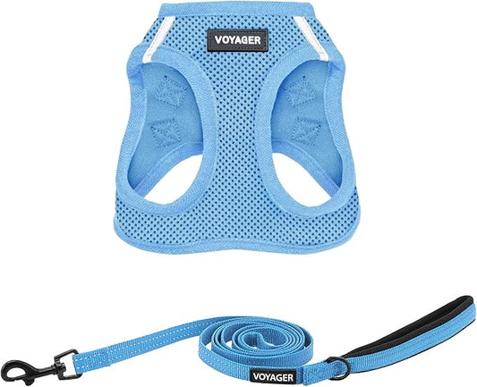Voyager Step-in Air All Weather Mesh Harness and Reflective Dog 5 ft Leash Combo with Neoprene Handle, for Small, Medium and Large Breed Puppies by Best Pet Supplies - Set (Baby Blue), L