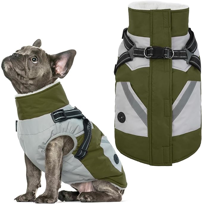 IECOii Dog Winter Coat Waterproof - Green, Medium - Dog Coat with Harness Built in for Medium Dogs, Thermal Warm Fleece Lined with Zip Up Cold Weather Jacket, Reflective Snowsuit for Outdoor Hiking