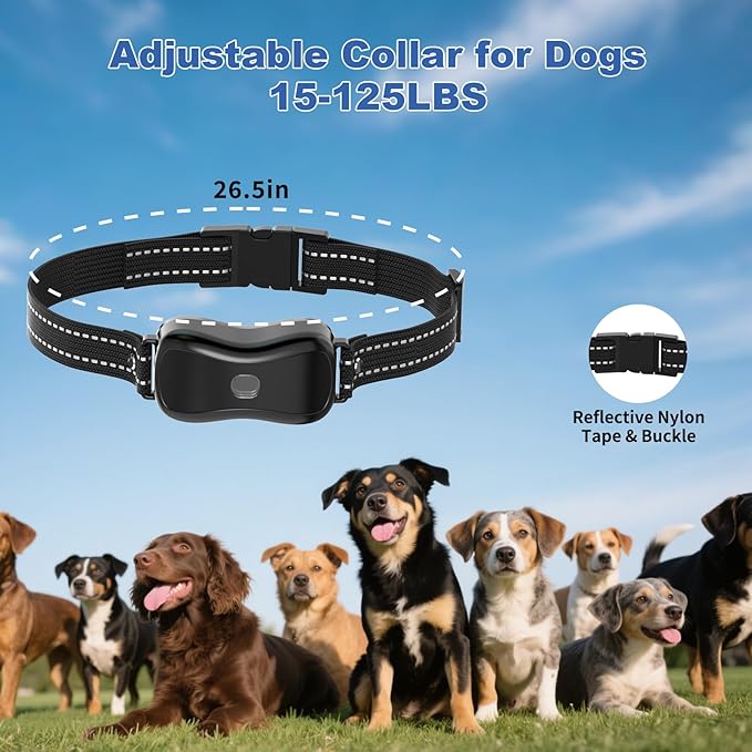 Shock Collar for Dogs with Color Screen - 3300 FT Remote Control Range, Dog Training Collar with 3 Training Modes, 2 Rechargeable Waterproof ECollar for Dogs Training 15-125LBS