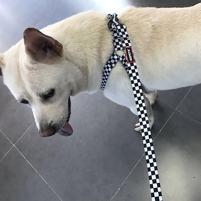 QQPETS Dog Harness Leash Set Adjustable Heavy Duty No Pull Halter Harnesses for Small Medium Large Breed Dogs Back Clip Anti-Twist Perfect for Walking (S(14"-20" Chest Girth), Black Plaid)