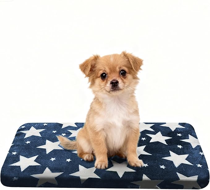 Washable Dog Bed Plush Orthopedic Outdoor Crate Mat with Non-Slip Bottom,Luxe Soft Kennel Pad for Pets, Cozy Cage Cushion & Pet Sleeping Mattress Large Sized,Medium,Small Dogs,24 x 18 inch,Blue