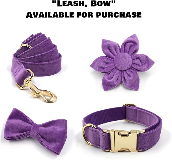Velvet Personalized Dog Collar with Name - Customizable Dog Collar with Quick Release Metal Buckle - Leash and Bow Tie Available (Purple, XS)
