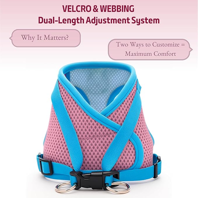 Small Dog Harness and Leash Set, Adjustable Step-in Dog Harness with Back Clip, Reflective Escape Proof Easy Walk Dog Harness for Small Sized Dog, Puppy, Cats (PinkBlue S)