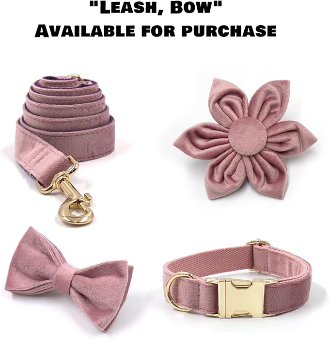 Velvet Personalized Dog Collar with Name - Customizable Dog Collar with Quick Release Metal Buckle - Leash and Bow Tie Available (Soft Pink, M)