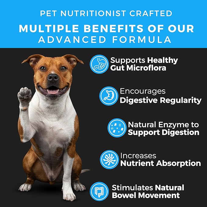 Pet Chef Probiotics for Dogs with Prebiotics & Enzymes 140 Natural Health Soft Chews for Gut & Skin Health Puppy-Friendly Chews. Stops IBS, Gas, Dog Paw Licking & Itching Support (Peanut Butter)