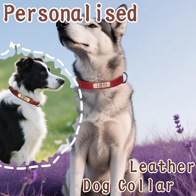 Leather Dog Collar Personalised and Leash Set, Personalized with Soft Padded Design Heavy Duty Featuring Custom Engraved Name Plate for Small Medium and Large Dogs