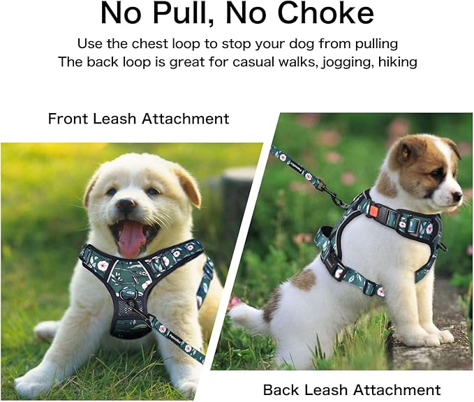 Petmolico No Pull Dog Harness Set with Leash Attachment Easy Control Handle Reflective Harness Vest Small Breed, Puppy Vest and Leash Set with Poop Bag Holder, Small - Green Rhododendron