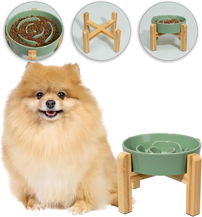 Elevated Slow Feeder Dog Bowl - Ceramic Maze Food Dish with Bamboo Stand - Raised Feeding Bowl for Fast Eaters - Ideal for Small and Medium Dogs - Green - 6.7 inch