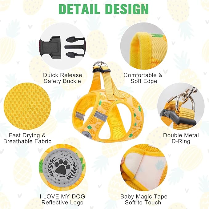 BEAUTYZOO Step in Dog Harness and Leash Set,Reflective Dog Harness No Pull No Choke Puppy Harness for Small Medium Large Dogs Cats,Soft Padded Mesh Vest Harnesses for Girl and Boy Pets, Pineapple S