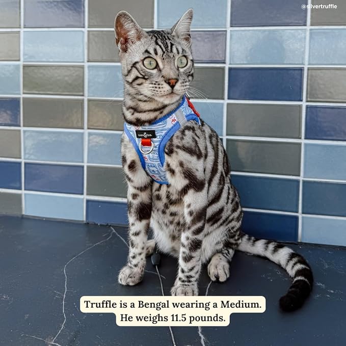 Lucy & Co. Tinned Fish Step-in Cat Harness & Leash Bundle – Reflective, Breathable & Adjustable Harness for Cats, Kittens & Small Dogs, Lightweight & Secure and Dual Leash Clips – X-Small