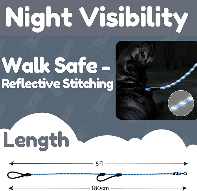 6 Foot Dog Leash, Two Extra Padded Handles, Locking Carabiner Clip, Reflective for Night Visibility, Weatherproof, Heavy Duty Rope Leash, Roam Gear (Blue)