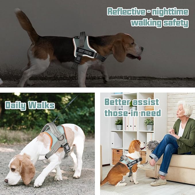 AUROTH Dog Harness No Pull Soft Padded Service Dog Vest, No Choke, Easy On Pet Vest with Handle, Adjustable Reflective Dog Harness for Small, Medium and Large Dogs, Easy Walking and Training