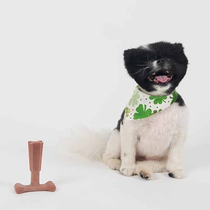 SPOT Bam-Bones Plus T Bone – Bamboo Fiber & Nylon Dog Chew Toy for Moderate to Aggressive Chewers, Durable & Non-Splintering, Long Lasting Beef Flavor Toy for Dogs & Puppies Under 30 lbs, 4 in