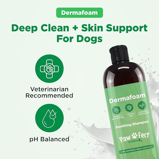 Dermafoam 16.9oz Chlorhexidine Shampoo for Allergies, Itching, Skin and Coat Supplement, Helps Shedding, Hot Spots, Paw Irritation, Rashes Deodorizing and Cleansing Dog Shampoo & Grooming Supplies