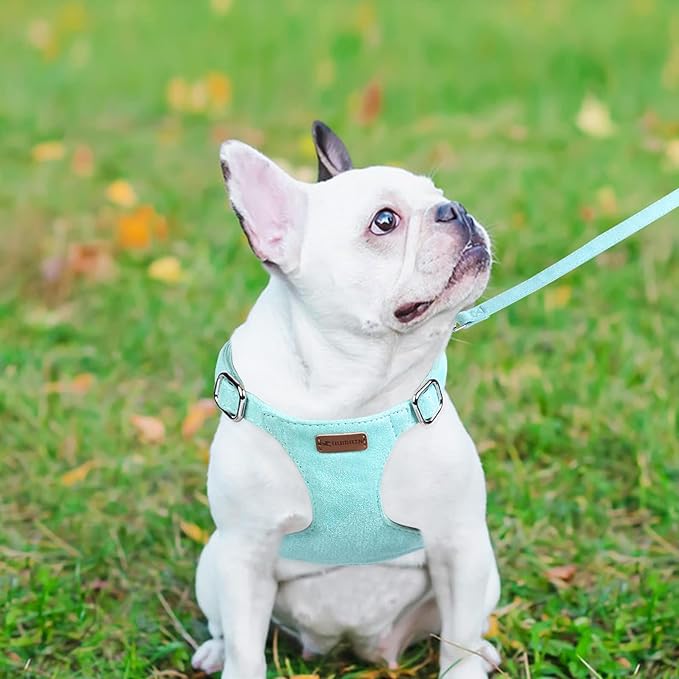 Dog Harness and Leash Set, XXS No Pull Adjustable Puppy Harness with Multifunction Pink Dog Leash and Dog Collar, Soft No Choke Escape Proof Pet Harness Vest for Small Dogs and Cats (Mint Green, XS)