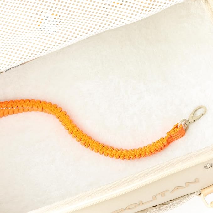 Soft-Sided Pet Carrier for Cats and Small Dogs – Stylish, Airline-Approved Travel Bag with Mesh Ventilation, Collapsible, Removable Pad and Safety Leash, Fits up to 16 lb