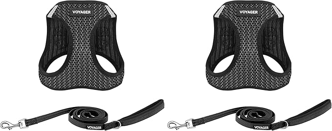 Voyager Step-in Air All Weather Mesh Harness and Reflective Dog 5 ft Leash Combo with Neoprene Handle, for Small, Medium and Large Breed Puppies by Best Pet Supplies - Gray (2-Tone), M (Pack of 2)