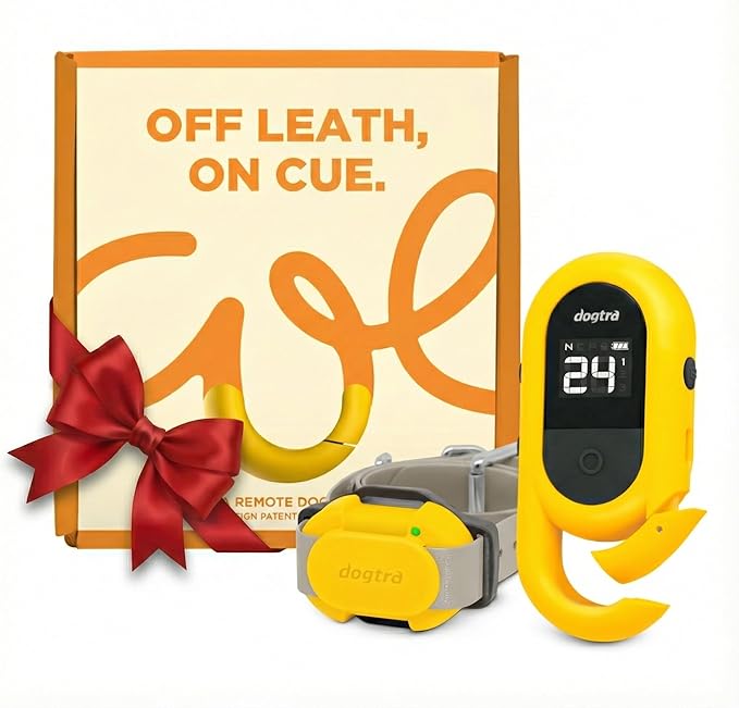 Dogtra CUE Yellow – E-Collar for Dogs Training Collar with Remote – Training Made Easy for Everyday Dog Owners – Gentle Vibration, Custom Boost, Waterproof, Rechargeable, 400-Yard Range System