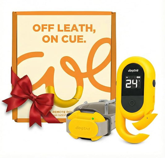 Dogtra CUE Yellow – E-Collar for Dogs Training Collar with Remote – Training Made Easy for Everyday Dog Owners – Gentle Vibration, Custom Boost, Waterproof, Rechargeable, 400-Yard Range System