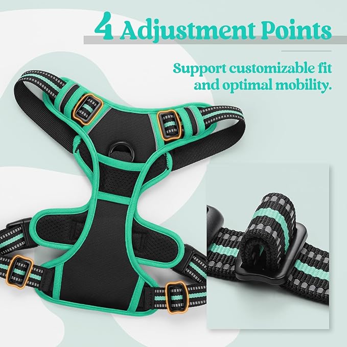rabbitgoo Dog Harness No Pull with 2 Leash Clips, Adjustable Soft Padded, Reflective Oxford No Choke Pet Vest with Easy Control Handle for Large Dogs, Black & Turquoise, XL