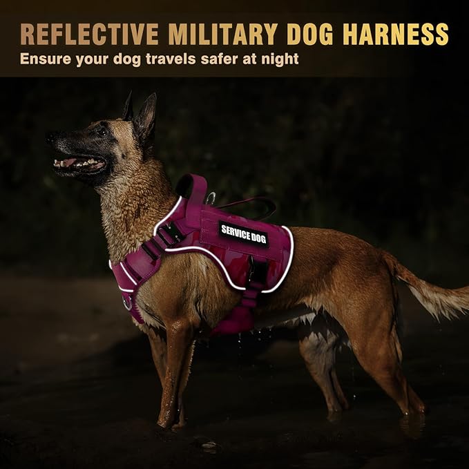 WINSEE Tactical Dog Harness for Medium Dog, Heavy Duty Service Working MOLLE Vest with 10 Pet Patches, 2X Metal Buckle Vest for Training Hunting Walking