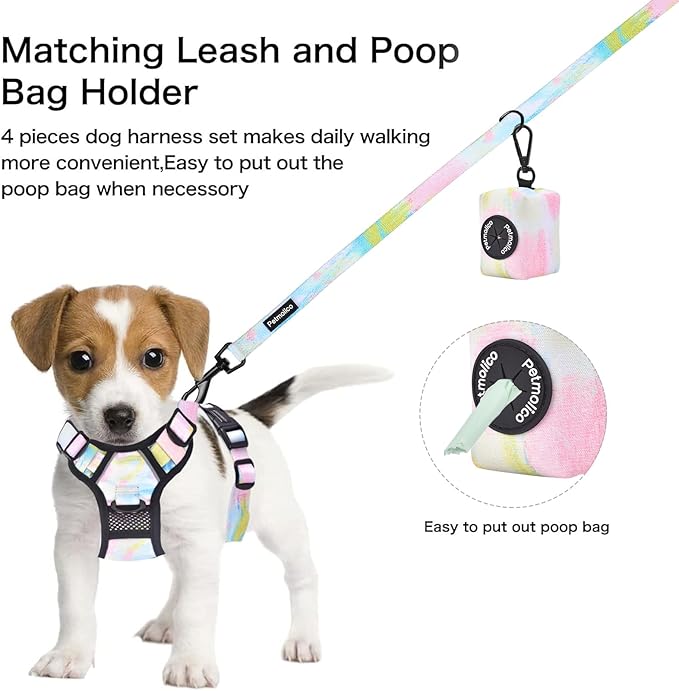 Petmolico No Pull Dog Harness Set with Leash Attachment Easy Control Handle Reflective Harness Vest Small Breed, Puppy Vest and Leash Set with Poop Bag Holder, Small - Iridescent