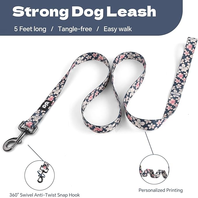 QQPETS Dog Harness Leash Set Adjustable Heavy Duty No Pull Halter Harnesses for Small Medium Large Breed Dogs Back Clip Anti-Twist Perfect for Walking