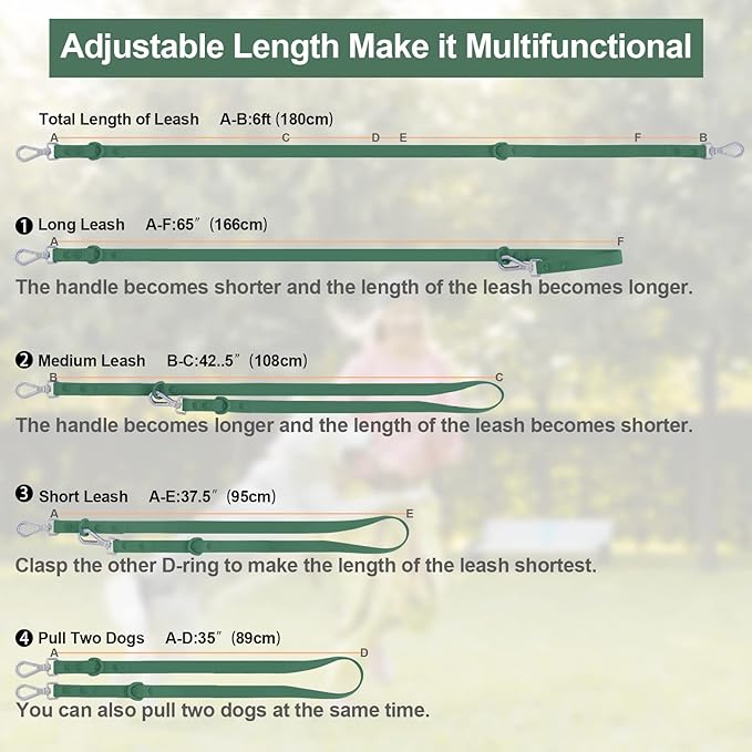 Wisedog Waterproof Dog Leash – 5ft/6ft Adjustable with 2 Metal Swivel Hooks, Easy to Clean Dog Leashes for Small, Medium, Large Breed Dogs (Pine Green L)