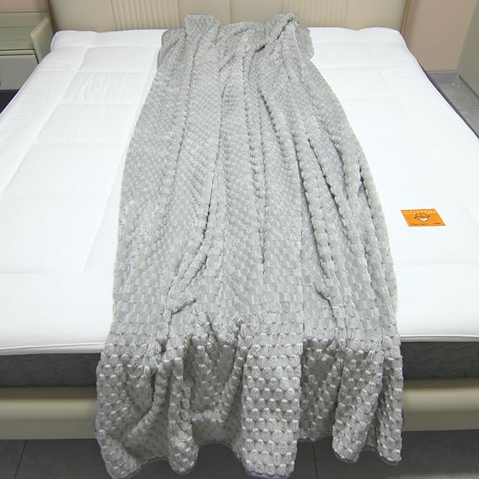 Water Resistant Blanket for Bed Couch Sofa, 60"x80" Reversible & Washable Microfiber Blanket, Queen Size Waterproof Throw, Pet Friendly & Leakproof (Glacier Gray/Cloud Gray)