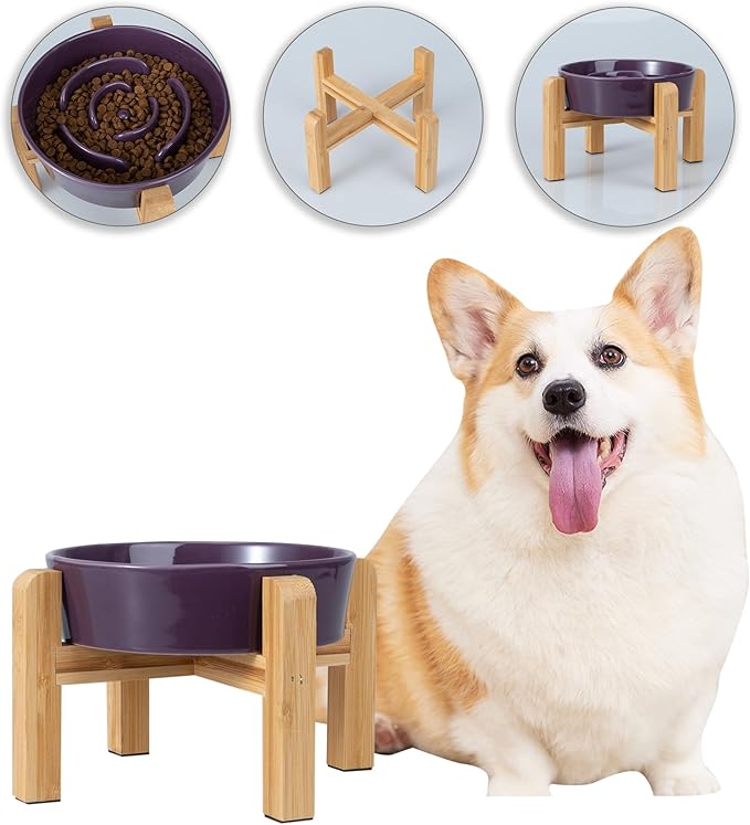 Elevated Slow Feeder Dog Bowl - Ceramic Maze Food Dish with Bamboo Stand - Raised Feeding Bowl for Fast Eaters - Ideal for Small and Medium Dogs - Purple - 6.7 inch