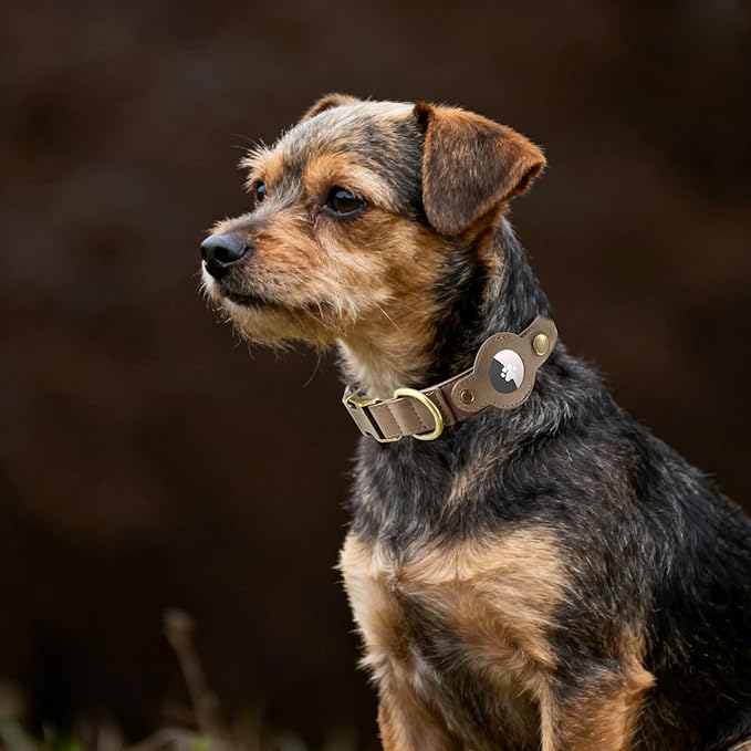 AirTag Dog Collar for Medium Dogs - Soft Leather Dog Collar with Apple AirTag Holder and Metal Buckle - Smart Tracker GPS Apple Air Tag Pet Collars(Brown, M)