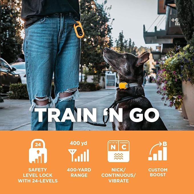 Dogtra CUE Yellow – E-Collar for Dogs Training Collar with Remote – Training Made Easy for Everyday Dog Owners – Gentle Vibration, Custom Boost, Waterproof, Rechargeable, 400-Yard Range System