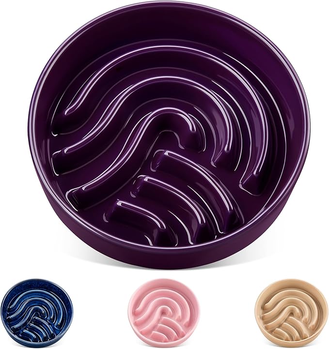 vancasso Slow Feeder Dog Bowl, 1.5 Cup Ceramic Slow Feeding Food Dish for Small and Medium Breed, Puzzle Dog Food Bowl for Fast Eater, Dark Purple