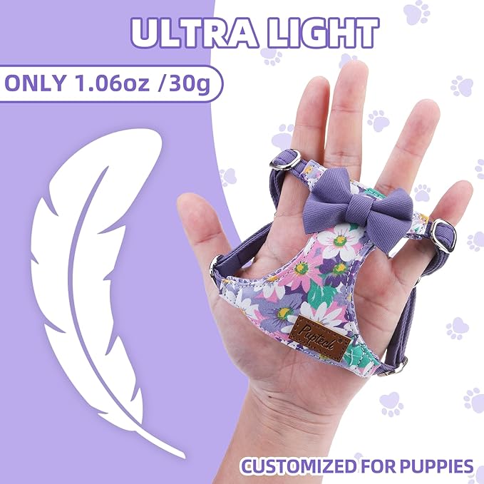PUPTECK Dog Harness and Leash Set Small Sized, Step-in Cute Puppy Harness, Soft Lightweight Padded Vest, Escape Proof No Pull Pet Harnesses Easy for Walking, Flower Purple, XXS