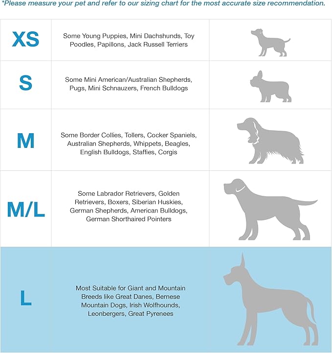 Blue-9 Buckle-Neck Balance Harness, Fully Customizable Fit No-Pull Harness, Ideal for Dog Training and Obedience, Made in The USA, Blue, Large