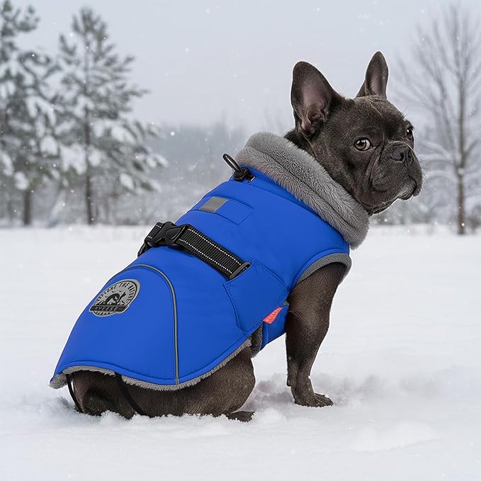KYEESE Waterproof Dog Coat, Windproof Warm Winter Jacket with Thick Fleece Lined, Turtleneck Dog Coats for Small Dogs with Leash Hole, Reflective Outdoor Cold Weather Coat, Blue, Medium