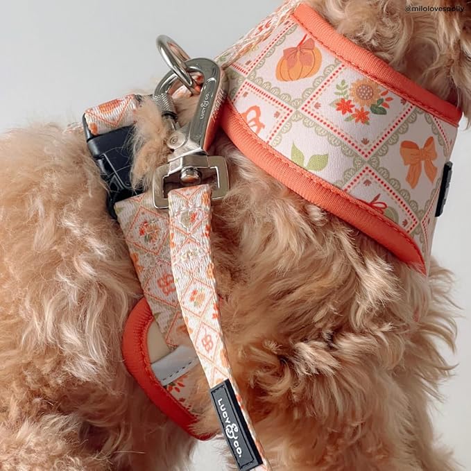 Lucy & Co. Cute Reversible Dog Harness Walking Halter - Best Designer Pet Harnesses for XS - XL Dogs - Padded Adjustable Vest for Easy Walking-Medium-Orange Cream Pumpkin