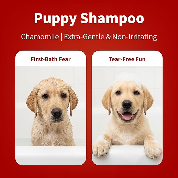 Arf Arf Tearless Puppy & Kitten Shampoo with Oatmeal & Honey - Gentle, Soothing Formula for Sensitive Skin & Soft Fur - 16oz
