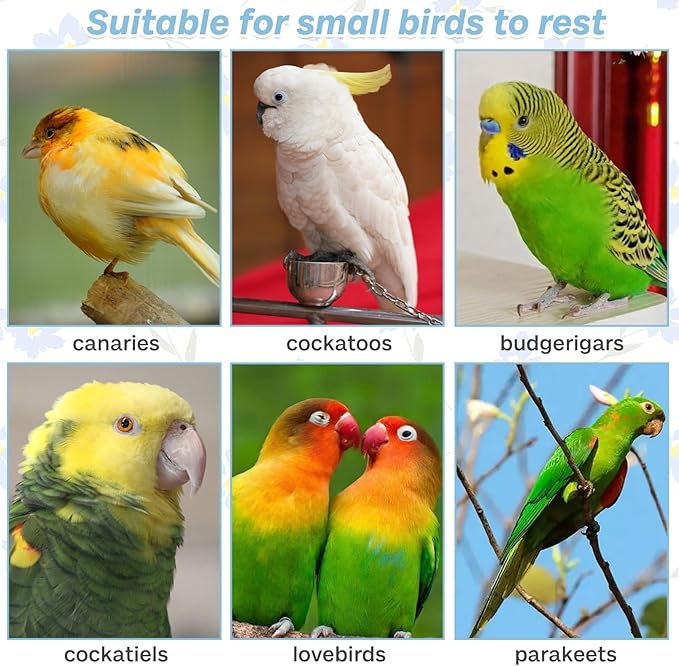 PIVBY Wood Bird Cage Perch Colorful Parrot Stand Toy Platform Paw Grinding Stick for Small Medium-Sized Bird Parakeet Cockatiel Conure Budgies Lovebird inches and Canary Colors Vary Pack of 3