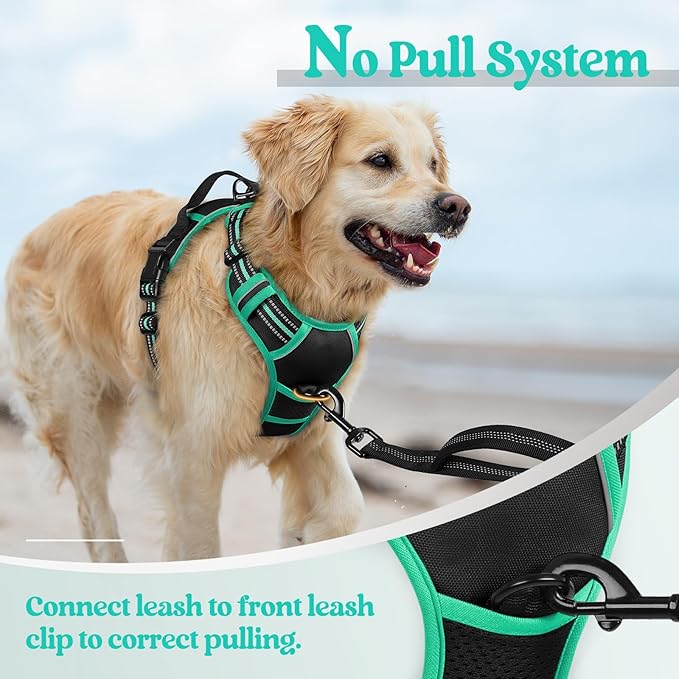 rabbitgoo Dog Harness No Pull with 2 Leash Clips, Adjustable Soft Padded, Reflective Oxford No Choke Pet Vest with Easy Control Handle for Large Dogs, Black & Turquoise, XL