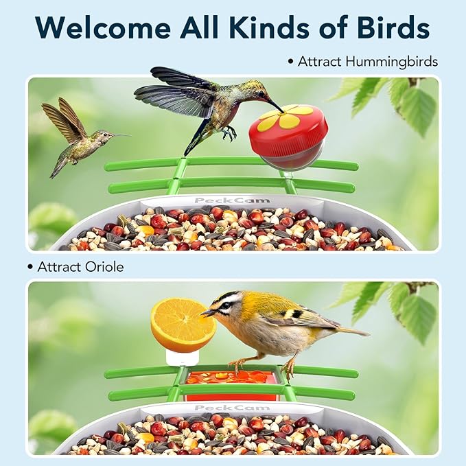 Smart Bird Feeder with Camera 2K Live Real-Time Alert AI Identify with 32G Card DIY Attachments Camera Bird Feeder Solar Powered Wireless Outdoor Birdwatching Gift for Birds Lover, Green