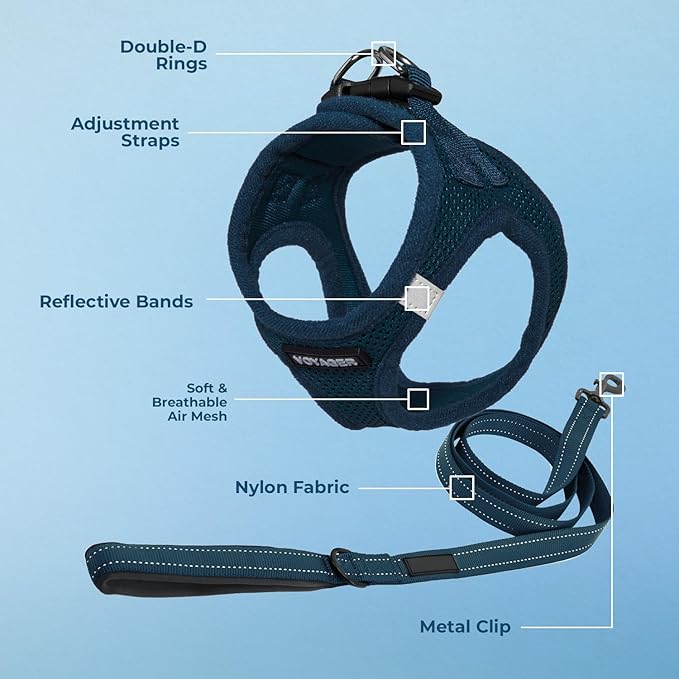 Voyager Step-in Air All Weather Mesh Harness and Reflective Dog 5 ft Leash Combo with Neoprene Handle, for Small, Medium and Large Breed Puppies by Best Pet Supplies - Set (Blue), XL