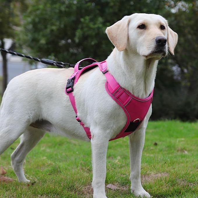 Dog Harness with Airtag Holder and Leash Set-Premium Oxford Breathable Material- Durable Reflective Airtag Dog Harness and Leash Set for Small, Medium, Large and X Large Dogs