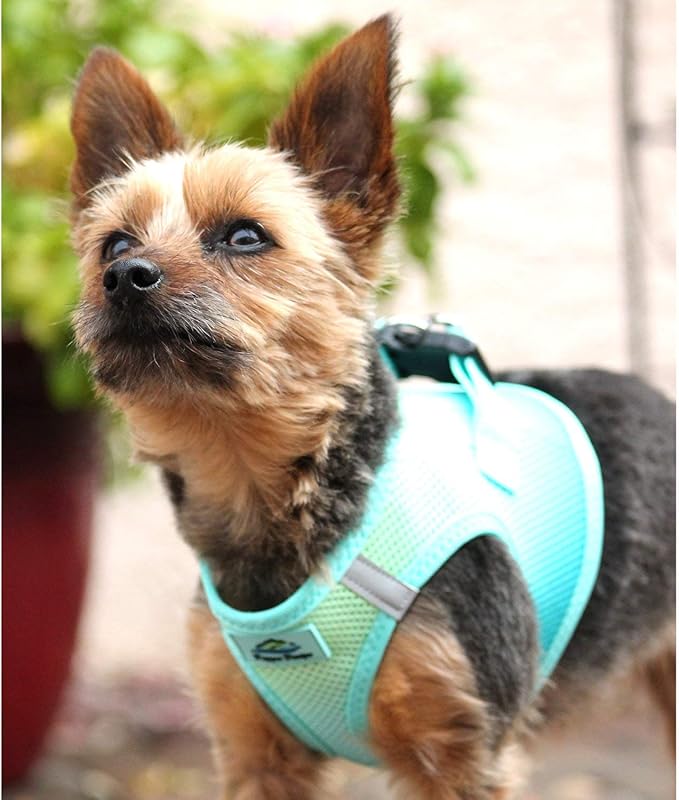 Doggie Design No Choke Dog Harness - Simple Step-in and Go Dog Vest for Small, Medium, and Large Breeds - Breathable Mesh Polyester Pet Harness - Aruba Blue - XL